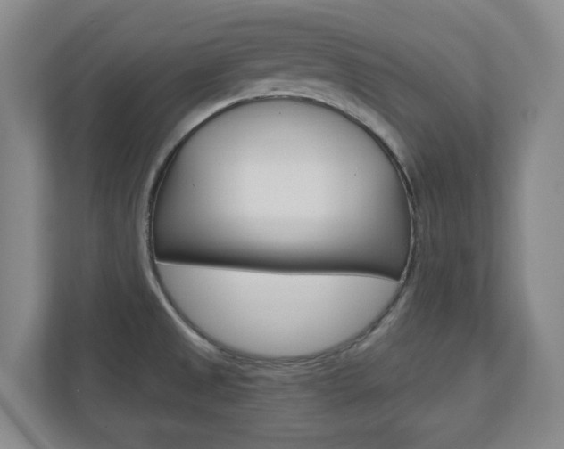 X0000110921525200906181206