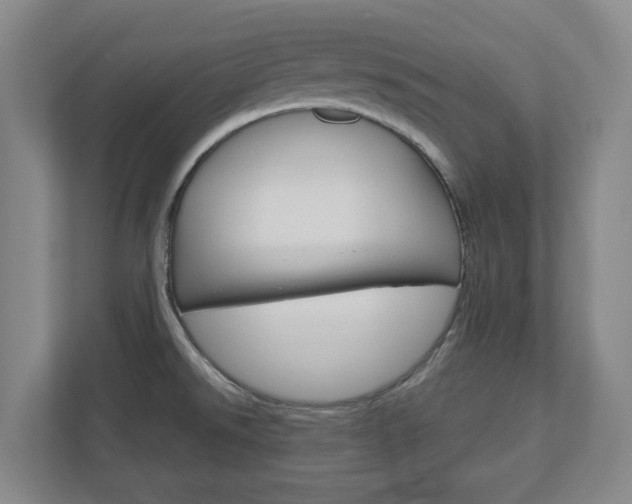 X0000110921526200906181206