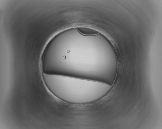 X0000110921527200906181206