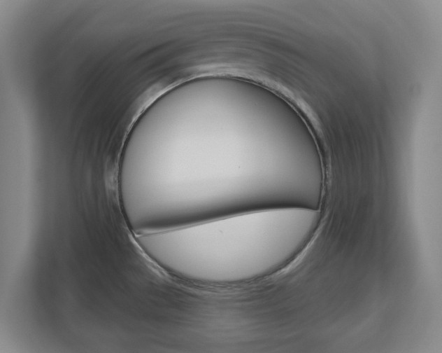 X0000110921529200906181206