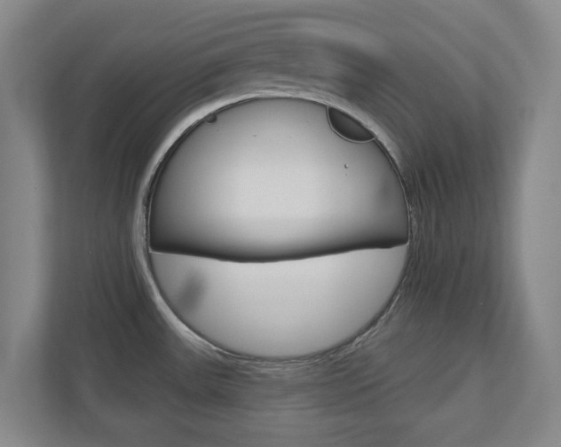 X0000110921531200906181206