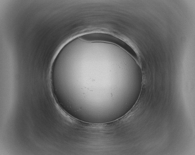 X0000110921532200906181206