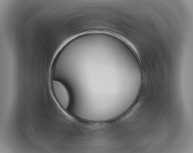X0000110921533200906181206