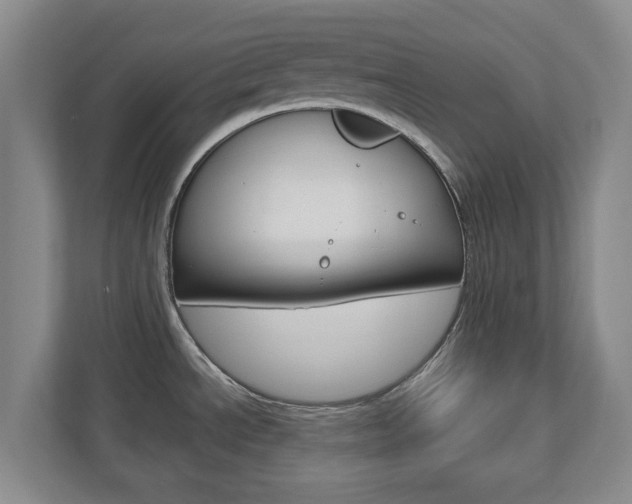 X0000110921534200906181206