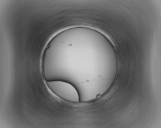 X0000110921535200906181206