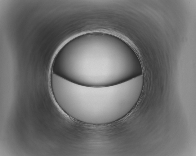 X0000110921536200906181206
