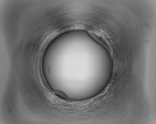 X0000110920001200906181418