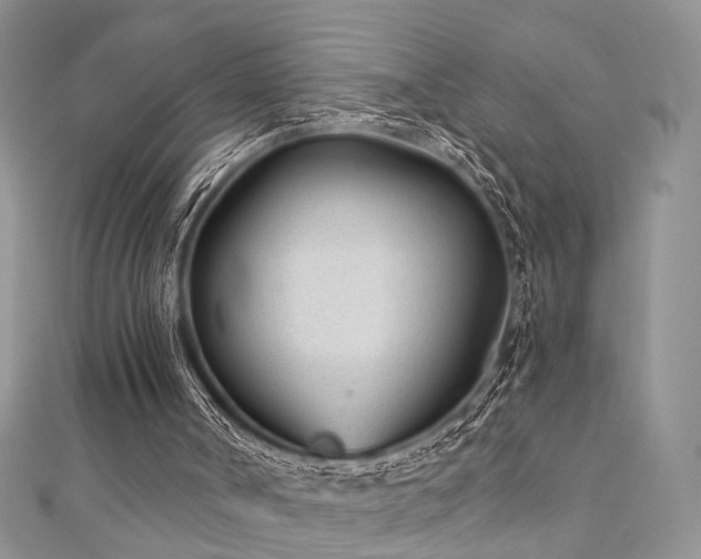 X0000110920002200906181418