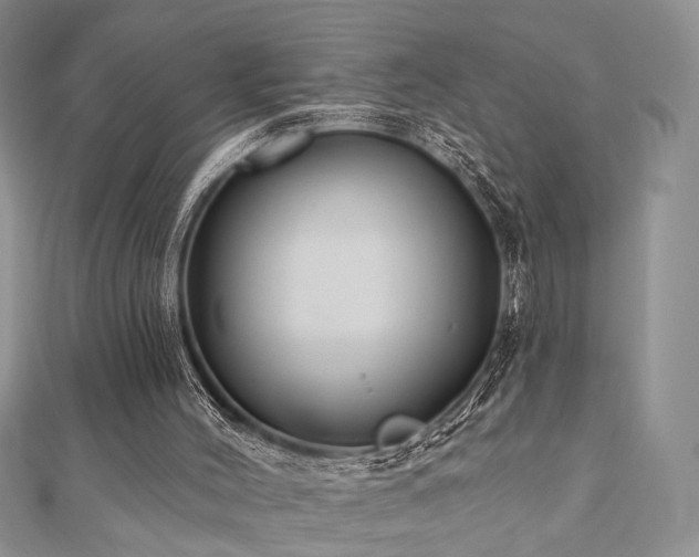 X0000110920004200906181418