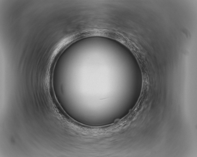 X0000110920006200906181418