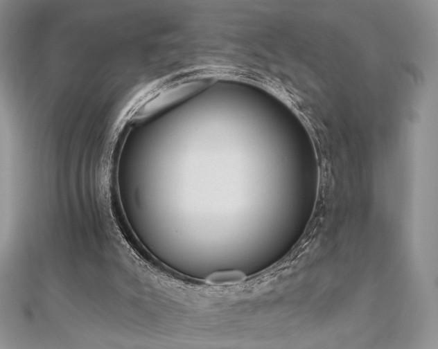 X0000110920007200906181418