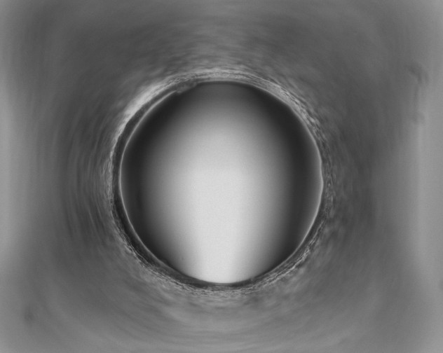 X0000110920008200906181418