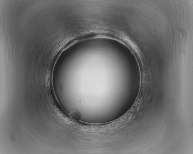 X0000110920009200906181418