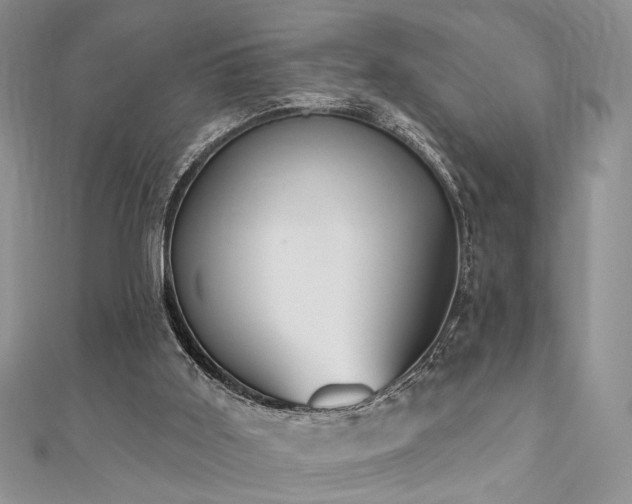 X0000110920011200906181418