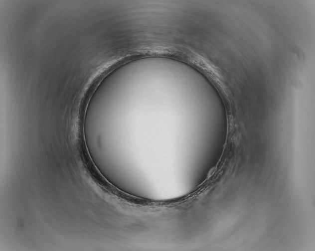 X0000110920012200906181418