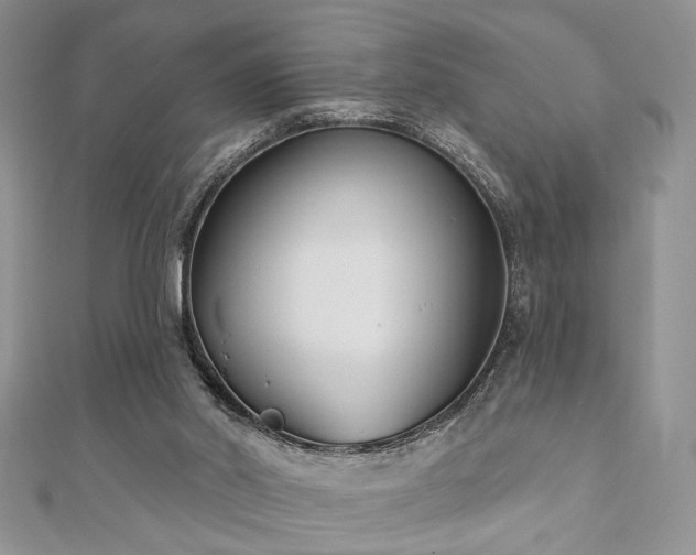 X0000110920014200906181418