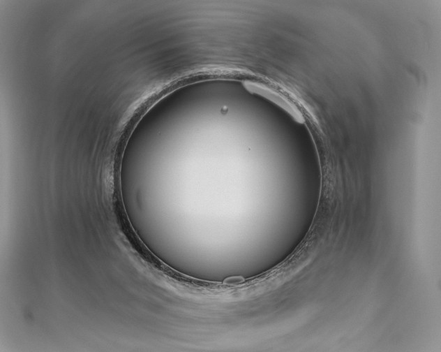 X0000110920015200906181418