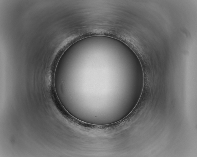 X0000110920016200906181418