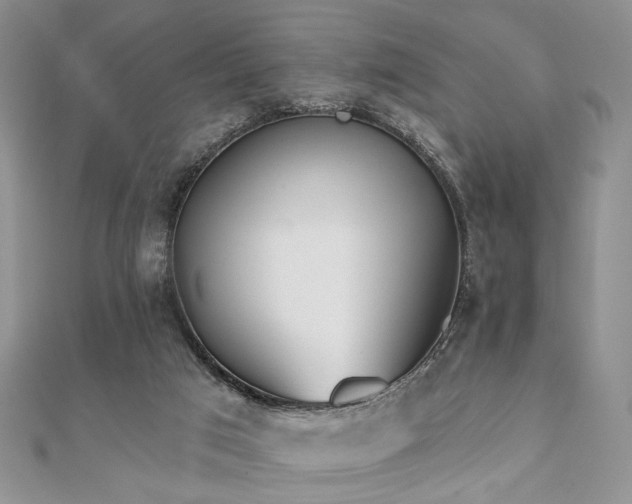 X0000110920017200906181418