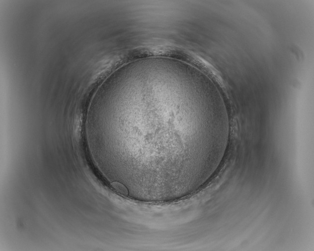 X0000110920018200906181418
