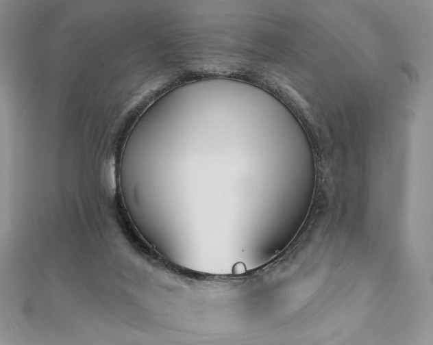 X0000110920020200906181418