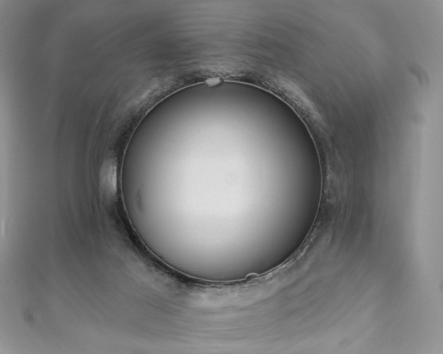X0000110920021200906181418