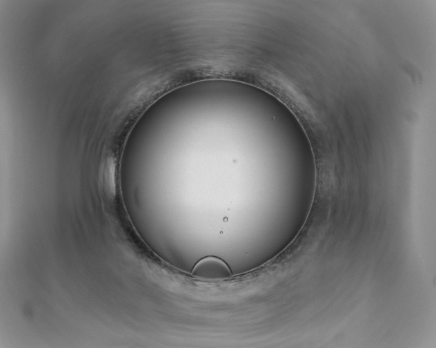 X0000110920022200906181418