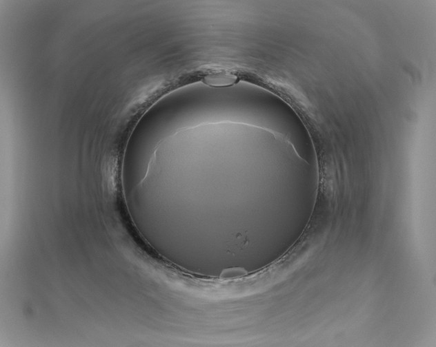X0000110920023200906181418