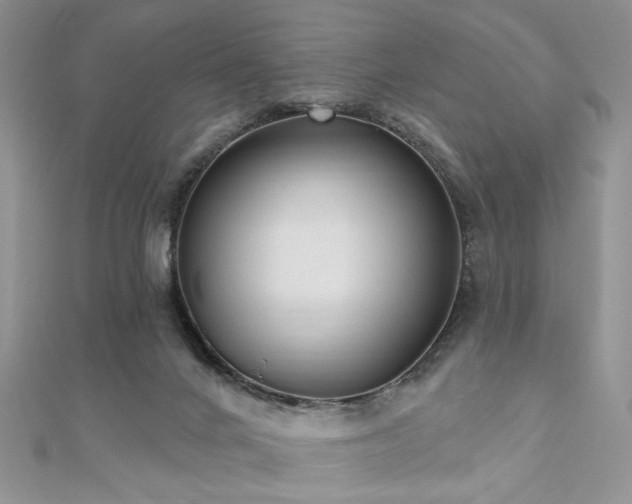 X0000110920024200906181418