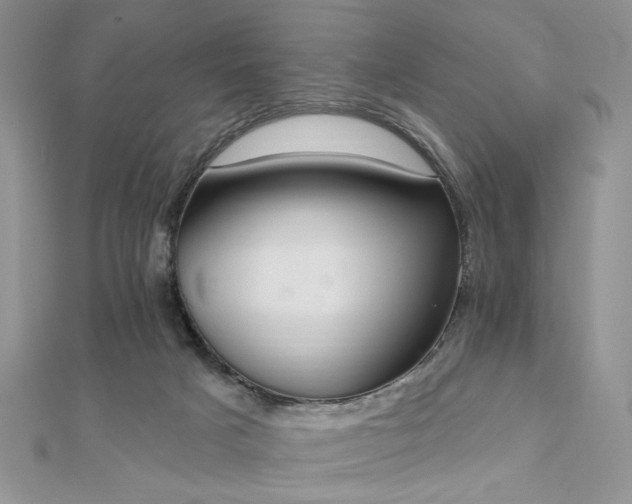 X0000110920025200906181418