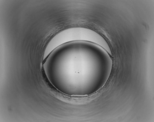 X0000110920027200906181418