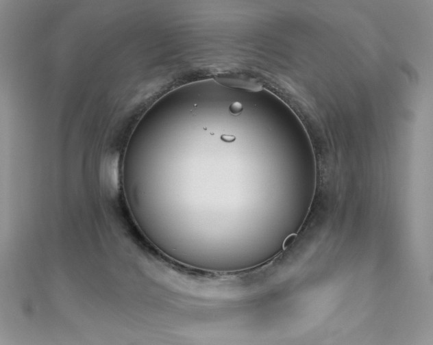 X0000110920028200906181418