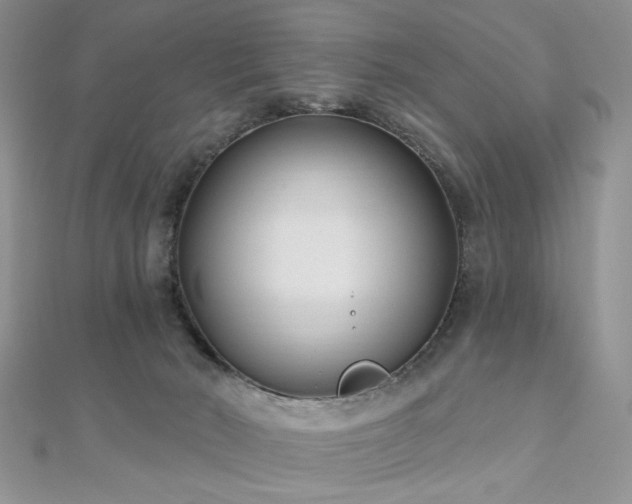X0000110920030200906181418