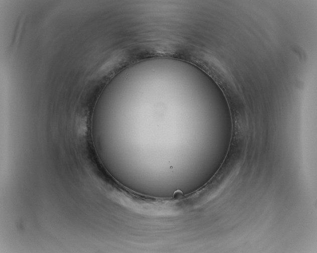 X0000110920032200906181418