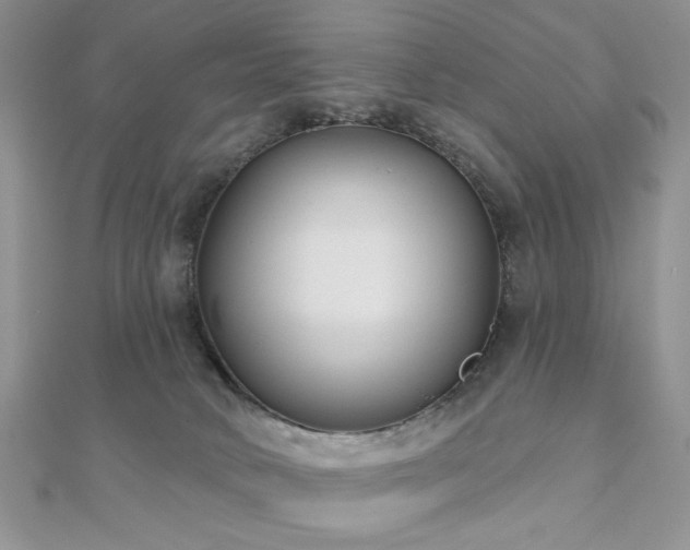 X0000110920034200906181418