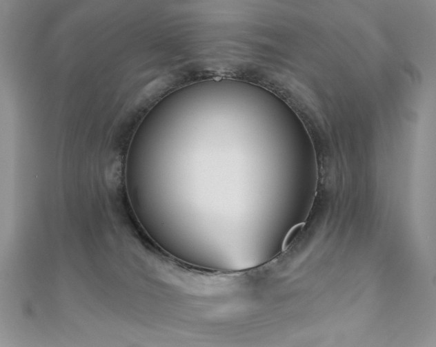 X0000110920036200906181418