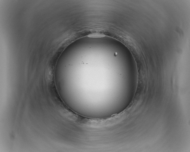 X0000110920037200906181418
