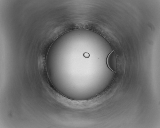 X0000110920038200906181418