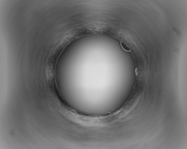 X0000110920040200906181418