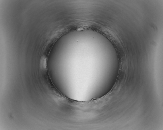 X0000110920041200906181418