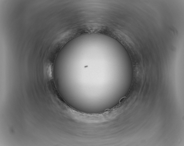 X0000110920042200906181418