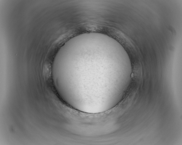X0000110920043200906181418