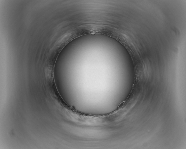 X0000110920044200906181418