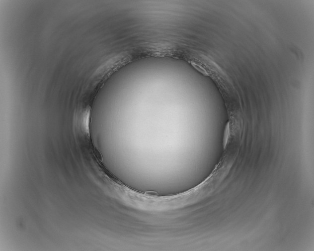 X0000110920047200906181418