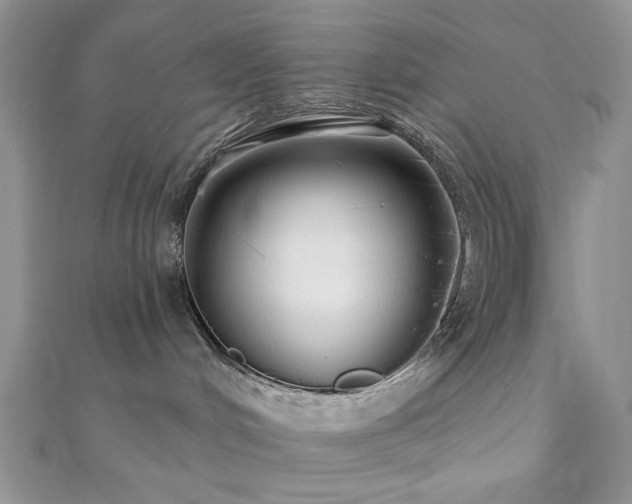 X0000110920048200906181418