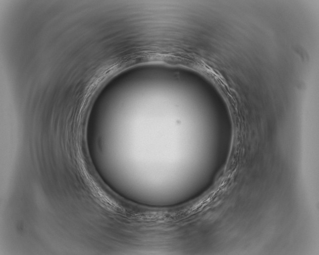X0000110920049200906181417