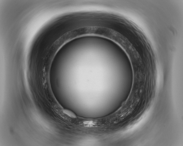 X0000110920050200906181417