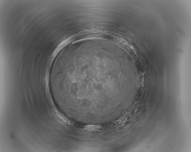 X0000110920051200906181417