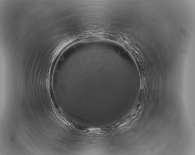 X0000110920052200906181417