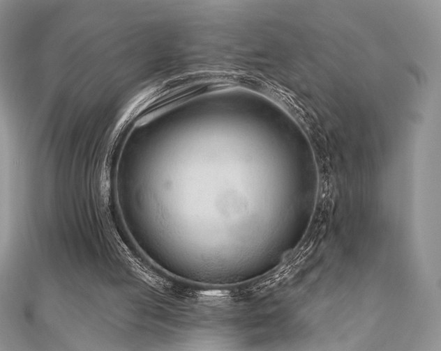 X0000110920053200906181417